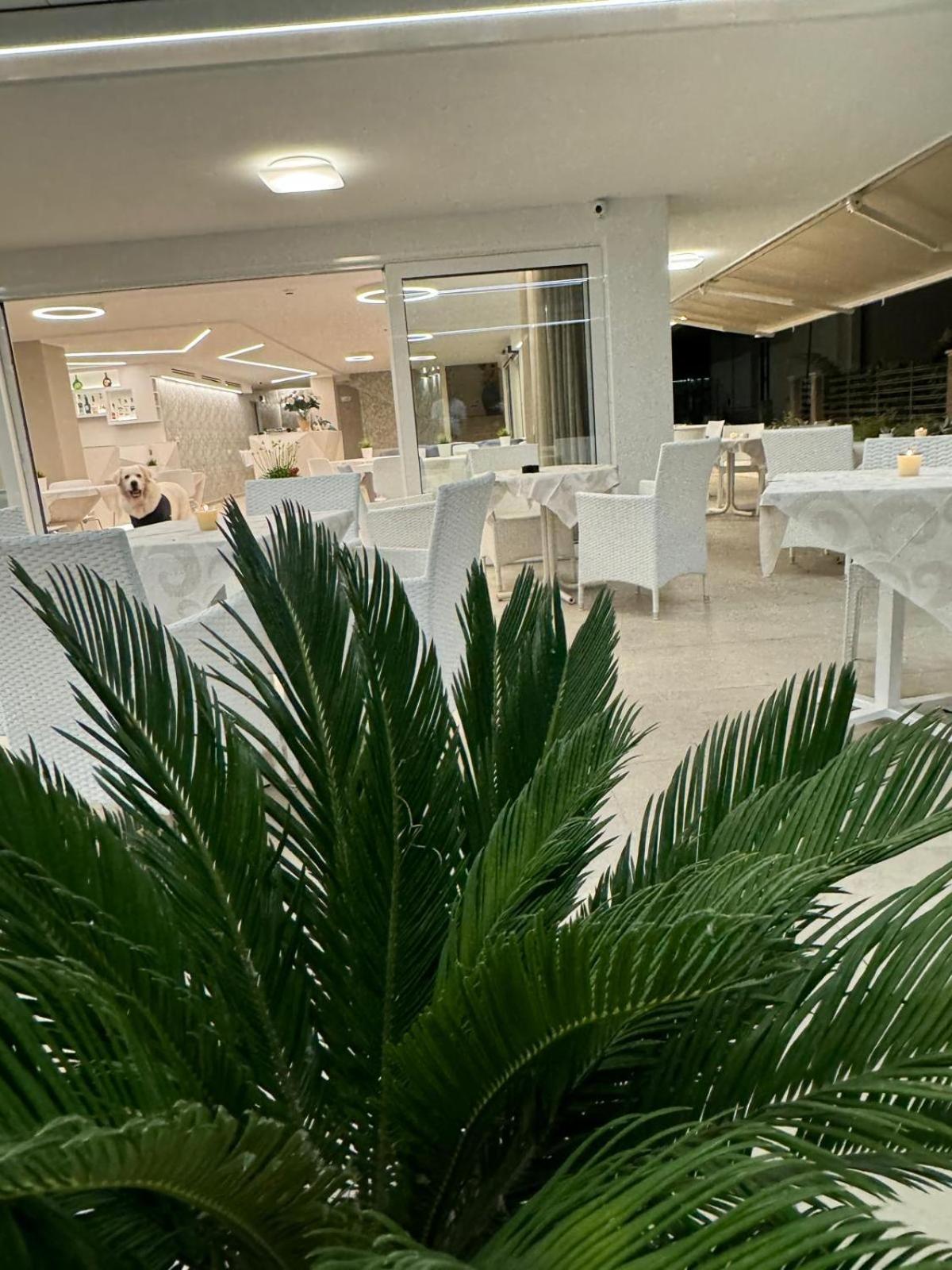 Hotel San Domingo Bellaria-Igea Marina Exterior foto
